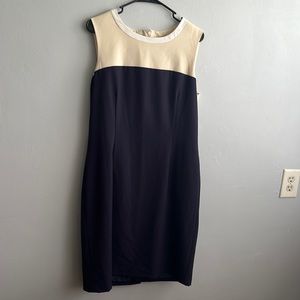 Calvin Klein dress  ||  navy + cream  ||  size 14